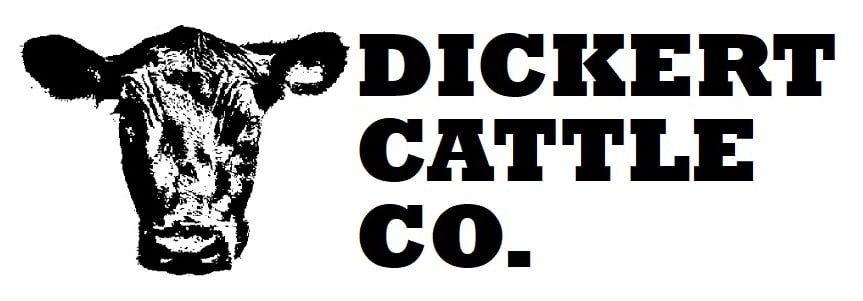 DCC logo (1)